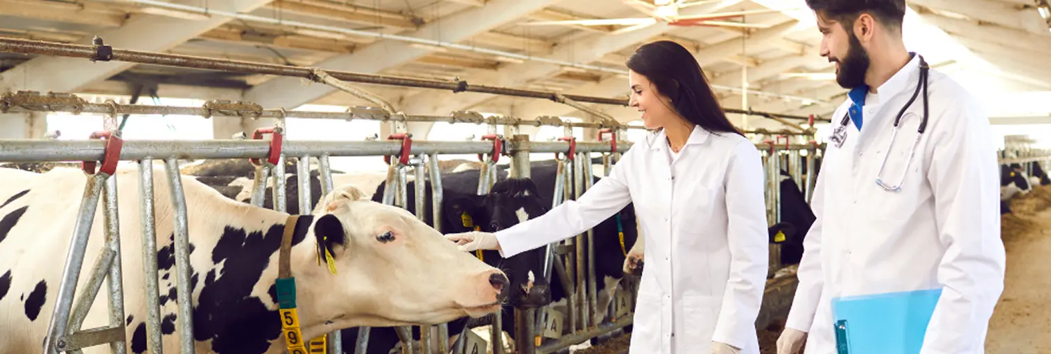 Veterinary packaging