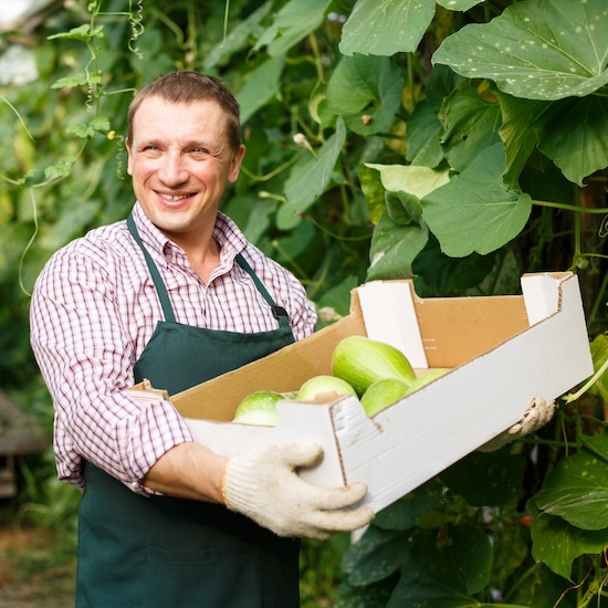 Fruit and vegetables cartonboard application